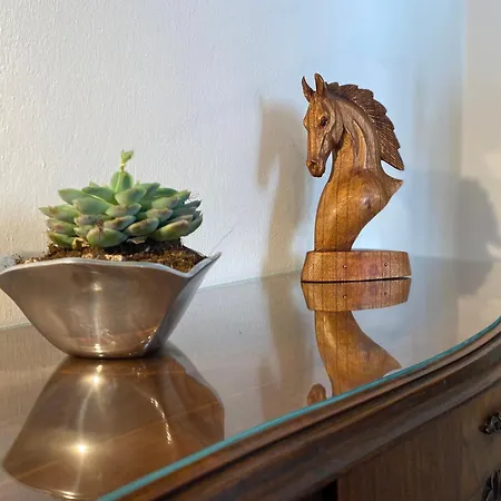 Palazzo Montegnacco-braida Удине