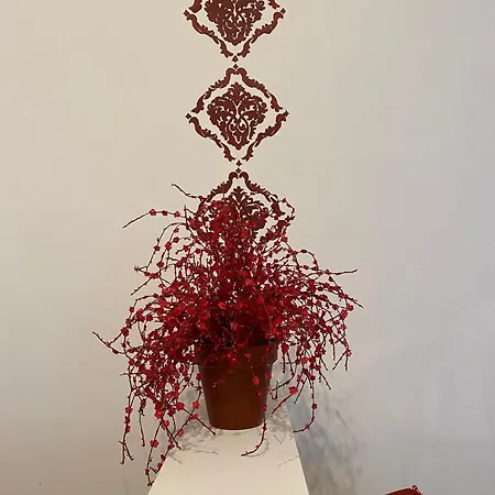 Palazzo Montegnacco-braida Διαμέρισμα *